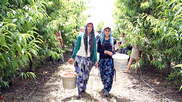 Ekmek parası için gece 03.30'da kalkıp yollara düşüyorlar