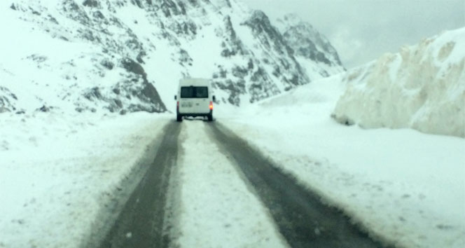 Van'ın yüksek kesimlerinde kar yağışı