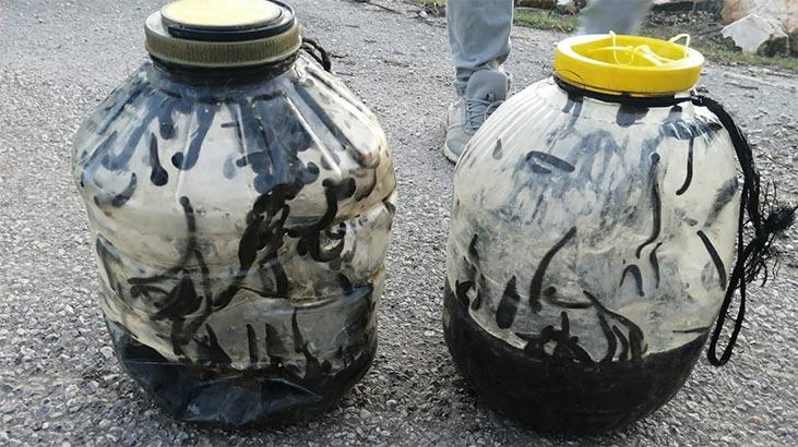 5e54356455428116c0dd054a