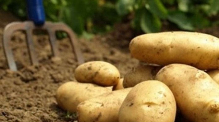 patates-e-yuzde-100-zam-geldi-15982