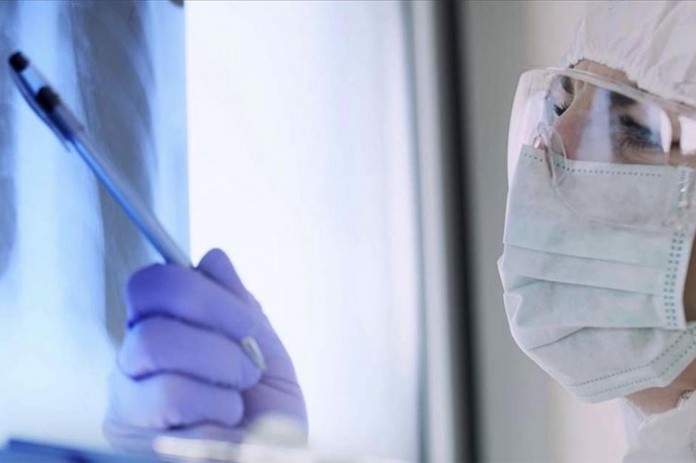 yargitay-domuz-gribinden-olumu-is-kazasi-16190