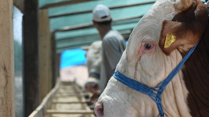 1-milyon-kisi-risk-altinda-16930