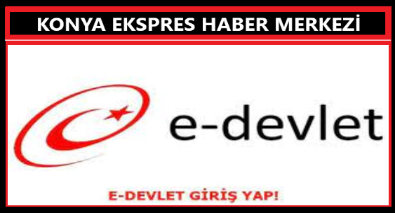 E DEVLET