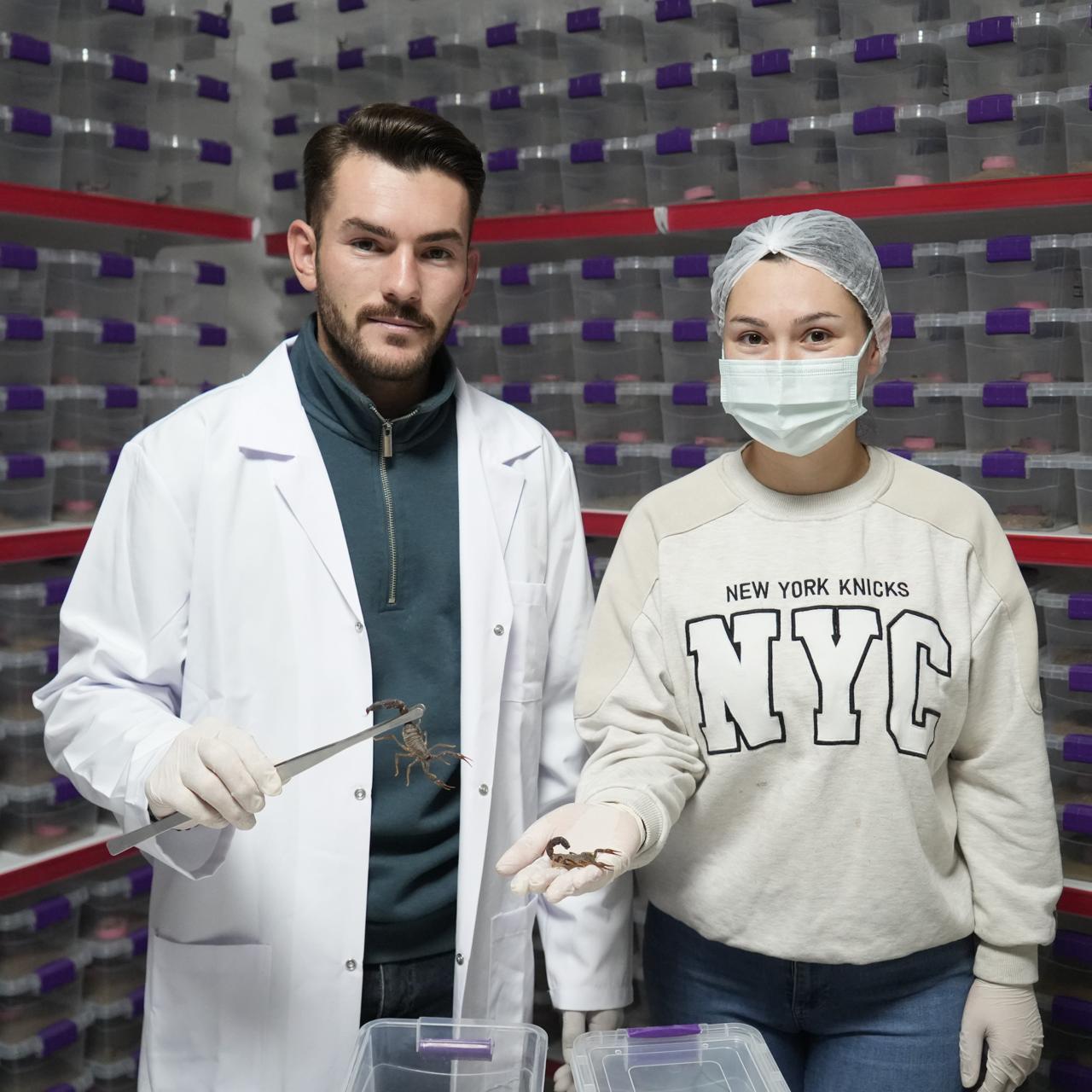 photo_5798860042298657891_y