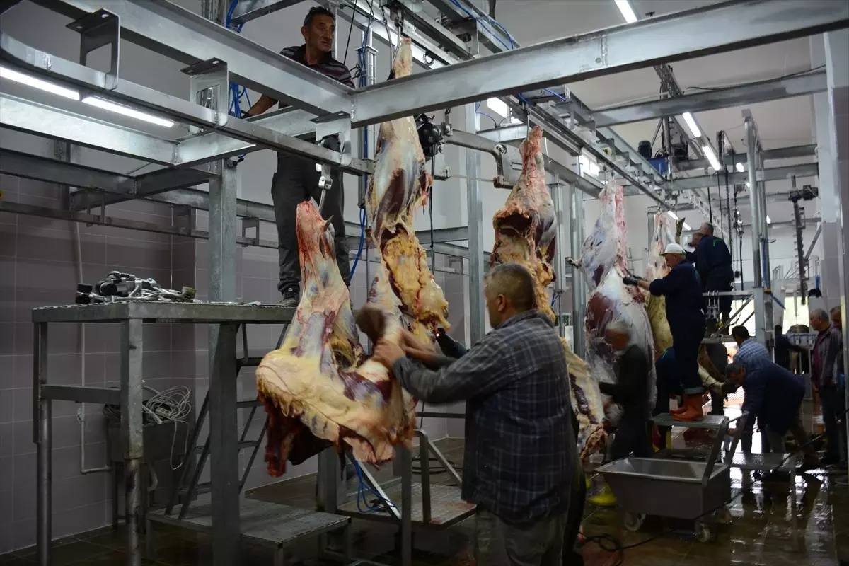 photo_5904220825634671444_y (1)