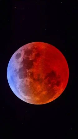 photo_5990239803573734965_y