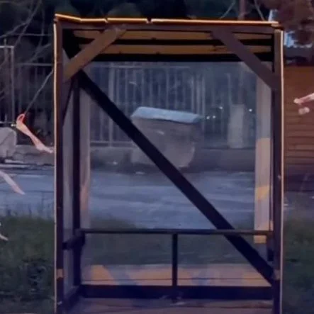 photo_5992572804039117631_x