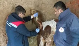 Beyşehir'den kısa kısa