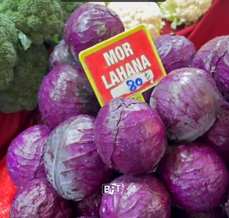 Bursa’da Kırmızı Lahana İsyanı: Çiftçi Ürünü Tarlada Çürümeye Bıraktı