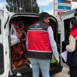 photo_5933672034858635139_x (1)