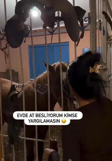 Evde At Besleyen Aile Sosyal Medyada Gündem Oldu!