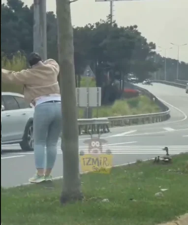İstanbul Trafiğinde Yürek Isıtan Anlar: Anne Ördek ve Yavrularına İnsanlık Köprüsü