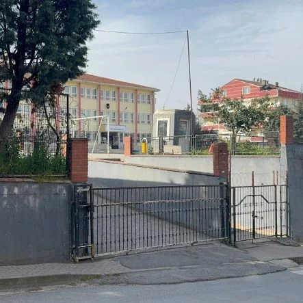 photo_5983527358100606036_y