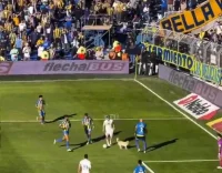 Screenshot_12