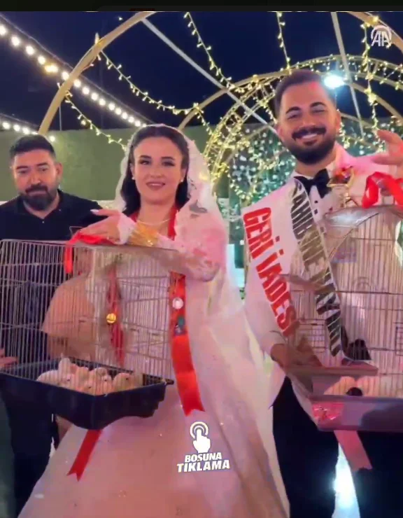 Kahramanmaraş’ta Düğünde İlginç Takı! Ustasından Çırağına Altın Yerine 100 Civciv